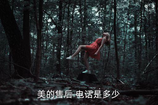 美的集團(tuán)財(cái)務(wù)有限公司電話(huà)