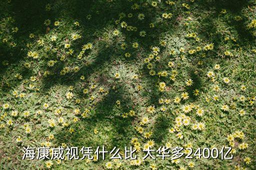 ?？低晳{什么比 大華多2400億
