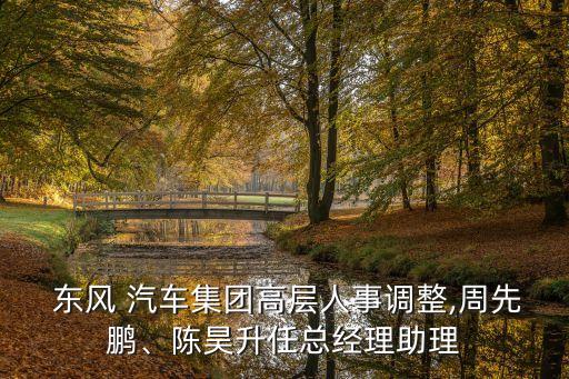 東風(fēng) 汽車(chē)集團(tuán)高層人事調(diào)整,周先鵬、陳昊升任總經(jīng)理助理