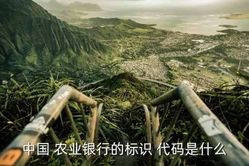 安徽農業(yè)銀行代碼是多少,安徽營銷代碼是什么農業(yè)銀行