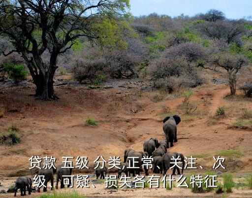  貸款 五級(jí) 分類,正常、關(guān)注、次級(jí)、可疑、損失各有什么特征