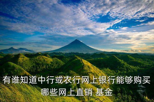 有誰(shuí)知道中行或農(nóng)行網(wǎng)上銀行能夠購(gòu)買(mǎi)哪些網(wǎng)上直銷(xiāo) 基金