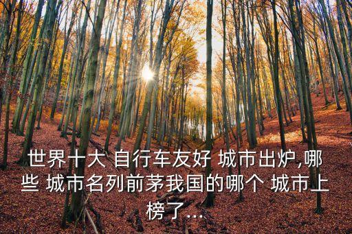 世界十大 自行車友好 城市出爐,哪些 城市名列前茅我國的哪個(gè) 城市上榜了...