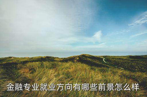 金融專(zhuān)業(yè)就業(yè)方向有哪些前景怎么樣