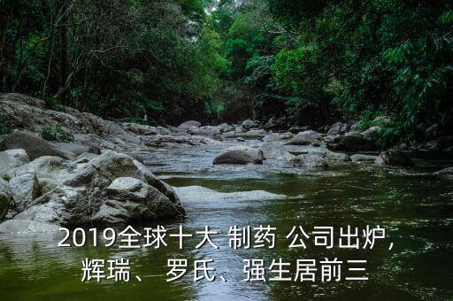 2019全球十大 制藥 公司出爐,輝瑞、 羅氏、強(qiáng)生居前三