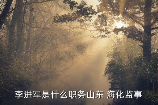 李進(jìn)軍是什么職務(wù)山東 ?；O(jiān)事