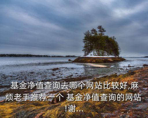  基金凈值查詢(xún)?nèi)ツ膫€(gè)網(wǎng)站比較好,麻煩老手推薦一個(gè) 基金凈值查詢(xún)的網(wǎng)站!謝...