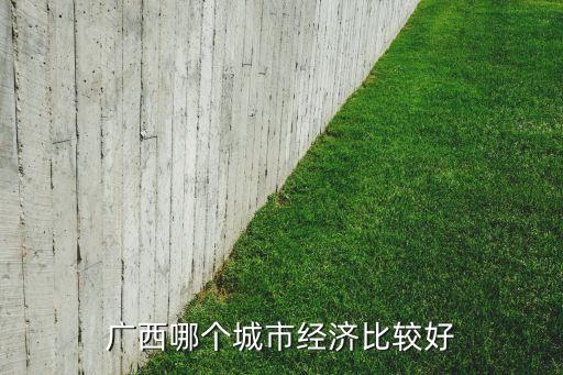 廣西哪個城市經(jīng)濟(jì)比較好