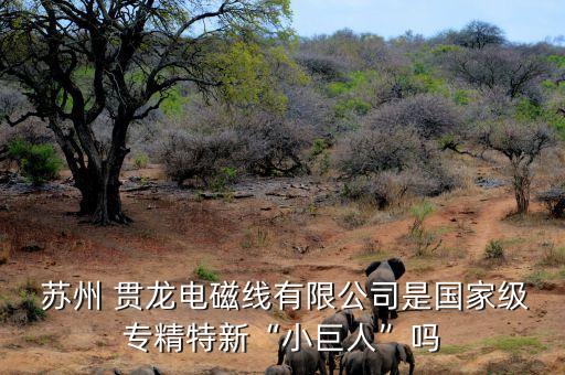  蘇州 貫龍電磁線(xiàn)有限公司是國(guó)家級(jí)專(zhuān)精特新“小巨人”嗎