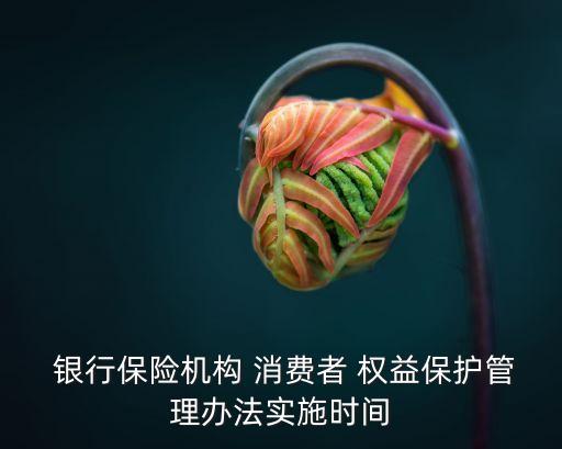  銀行保險(xiǎn)機(jī)構(gòu) 消費(fèi)者 權(quán)益保護(hù)管理辦法實(shí)施時間