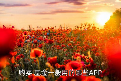 第三方基金理財(cái)平臺哪個好,證券公司和第三方理財(cái)機(jī)構(gòu)哪個好