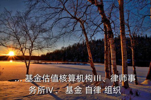 ... 基金估值核算機(jī)構(gòu)Ⅲ、律師事務(wù)所Ⅳ、 基金 自律 組織