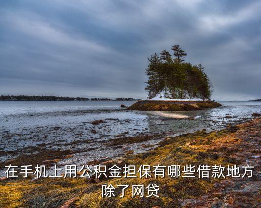 在手機上用公積金擔保有哪些借款地方除了網貸