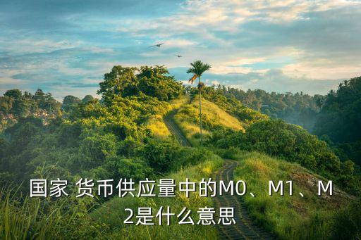 國家 貨幣供應(yīng)量中的M0、M1、M2是什么意思