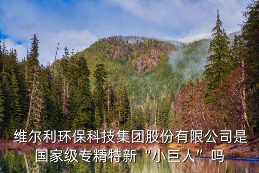  維爾利環(huán)?？萍技瘓F(tuán)股份有限公司是國(guó)家級(jí)專精特新“小巨人”嗎