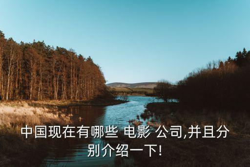 中國現在有哪些 電影 公司,并且分別介紹一下!