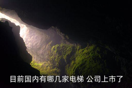 目前國內有哪幾家電梯 公司上市了