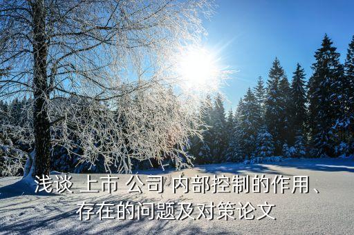 淺談 上市 公司 內(nèi)部控制的作用、存在的問(wèn)題及對(duì)策論文
