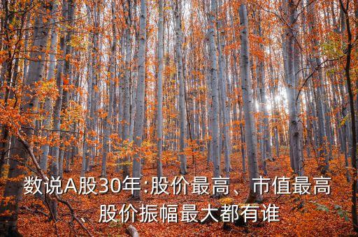 數(shù)說A股30年:股價(jià)最高、市值最高、股價(jià)振幅最大都有誰