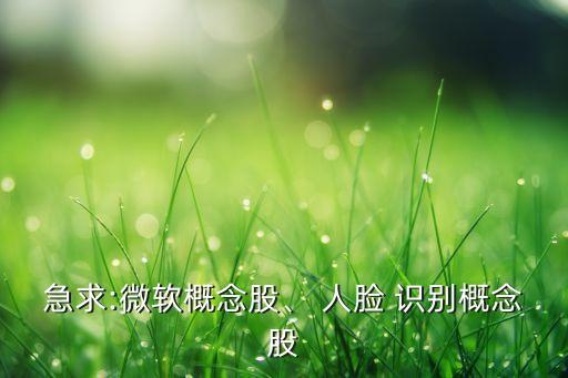 急求:微軟概念股、 人臉 識(shí)別概念股
