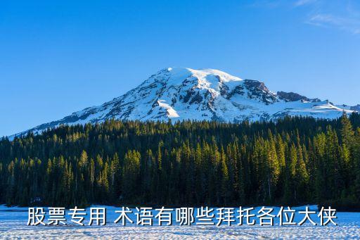  股票專(zhuān)用 術(shù)語(yǔ)有哪些拜托各位大俠