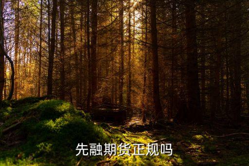 中電投先融資產管理有限公司