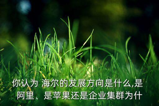 你認為 海爾的發(fā)展方向是什么,是 阿里、是蘋果還是企業(yè)集群為什