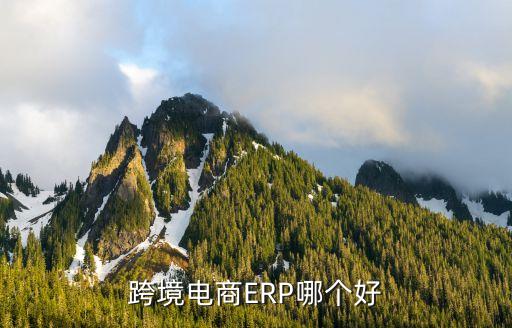 上?？迫A實驗室管理系統(tǒng)