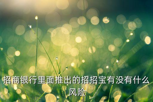 低風(fēng)險(xiǎn)在線(xiàn)理財(cái)公司,中低風(fēng)險(xiǎn)的理財(cái)最多虧損多少