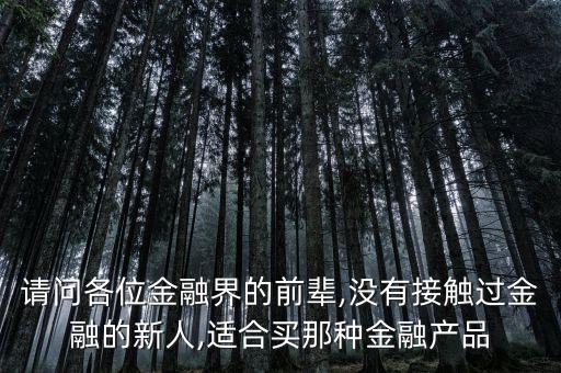 請(qǐng)問(wèn)各位金融界的前輩,沒(méi)有接觸過(guò)金融的新人,適合買那種金融產(chǎn)品