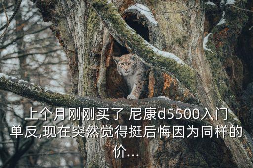 上個(gè)月剛剛買(mǎi)了 尼康d5500入門(mén)單反,現(xiàn)在突然覺(jué)得挺后悔因?yàn)橥瑯拥膬r(jià)...