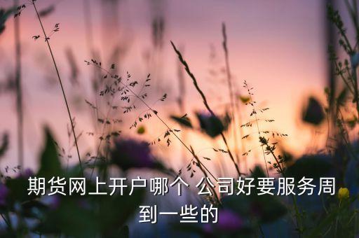  期貨網(wǎng)上開(kāi)戶哪個(gè) 公司好要服務(wù)周到一些的