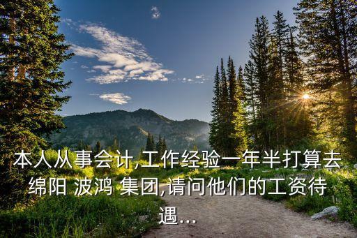 本人從事會(huì)計(jì),工作經(jīng)驗(yàn)一年半打算去綿陽 波鴻 集團(tuán),請問他們的工資待遇...