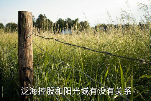  泛海控股和陽光城有沒有關(guān)系