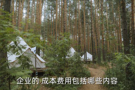 企業(yè)的 成本費用包括哪些內容