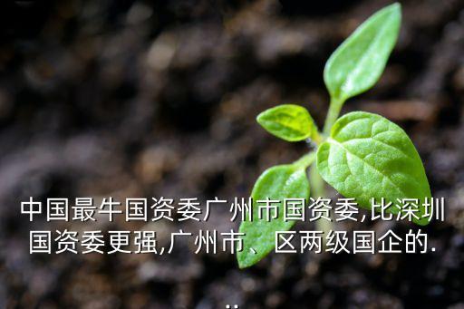 中國最牛國資委廣州市國資委,比深圳國資委更強(qiáng),廣州市、區(qū)兩級(jí)國企的...