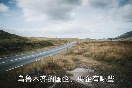 烏魯木齊的國企、央企有哪些