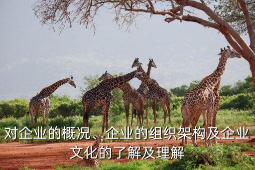 對(duì)企業(yè)的概況、企業(yè)的組織架構(gòu)及企業(yè)文化的了解及理解