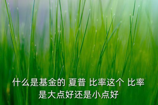 什么是基金的 夏普 比率這個 比率是大點(diǎn)好還是小點(diǎn)好