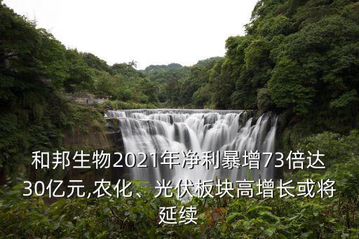 和邦生物2021年凈利暴增73倍達30億元,農(nóng)化、光伏板塊高增長或?qū)⒀永m(xù)