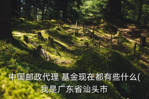 中國郵政代理 基金現在都有些什么(我是廣東省汕頭市