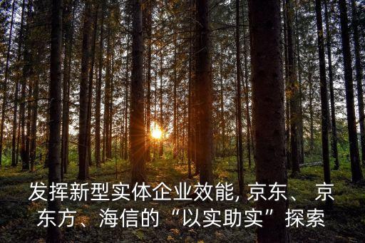 發(fā)揮新型實體企業(yè)效能, 京東、 京東方、海信的“以實助實”探索