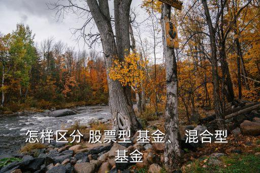 怎樣區(qū)分 股票型 基金、 混合型 基金