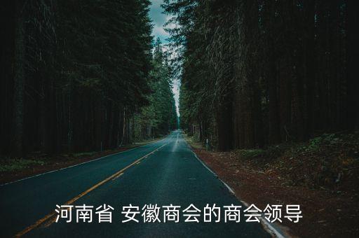 河南省 安徽商會的商會領(lǐng)導