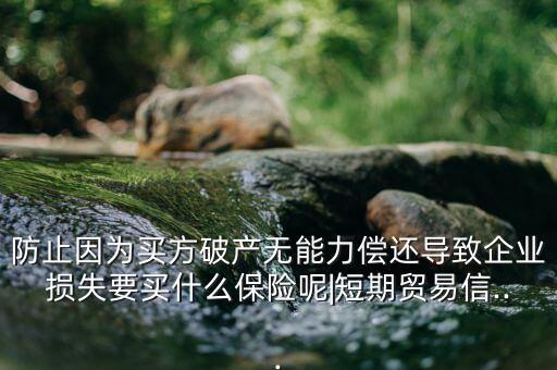 防止因?yàn)橘I方破產(chǎn)無(wú)能力償還導(dǎo)致企業(yè)損失要買什么保險(xiǎn)呢|短期貿(mào)易信...