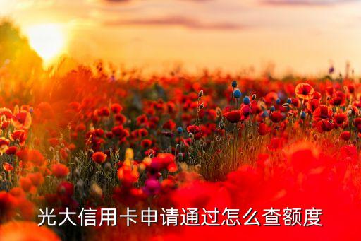 光大信用卡申請(qǐng)通過怎么查額度