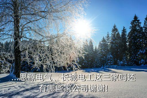 ...思源電氣、長城電工這三家嗎還有哪些家公司謝謝!