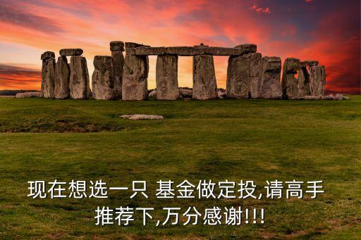 現在想選一只 基金做定投,請高手 推薦下,萬分感謝!!!