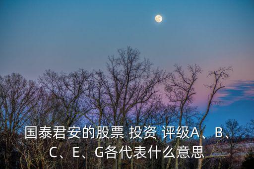 國(guó)泰君安的股票 投資 評(píng)級(jí)A、B、C、E、G各代表什么意思