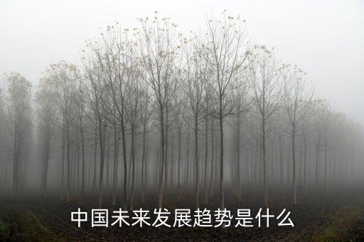 中國未來發(fā)展趨勢(shì)是什么